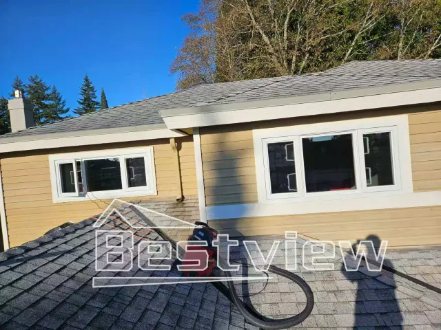 Bestview vinyl window project